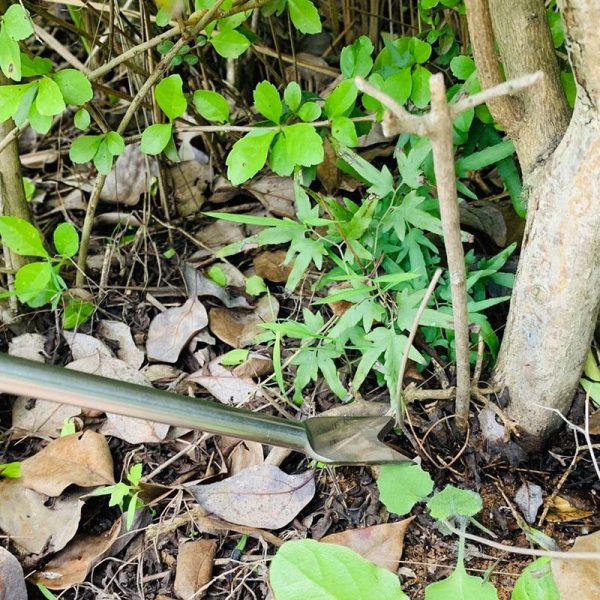 3Pcs Gardening Hand Tool Set – Trowel, Fork & Rake Weeder Kit