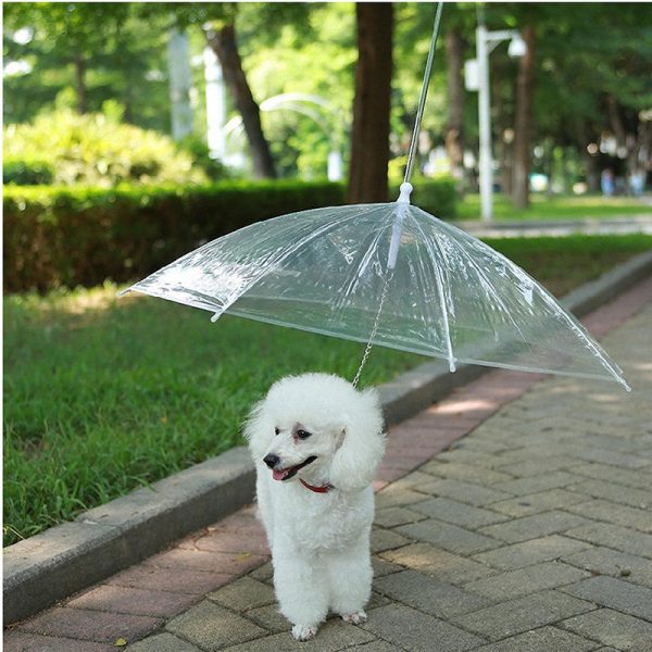 Foldable Dog Umbrella with Leash – Waterproof Pet Rain Gear & Hat for Small Dogs